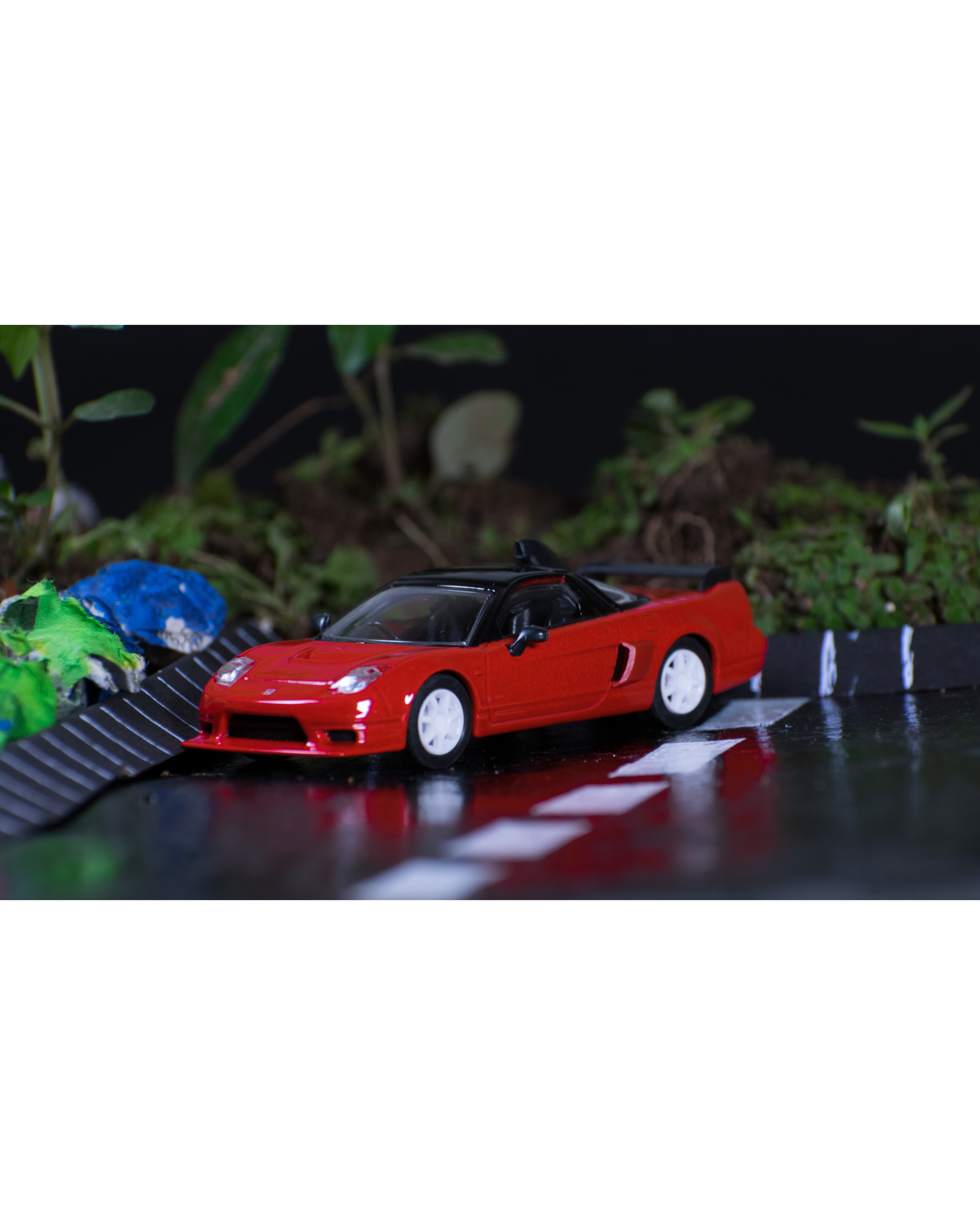 Portrait_DSC_0341_3 The VTEC Legends 2-Pack: Red NSX & White Civic Type R